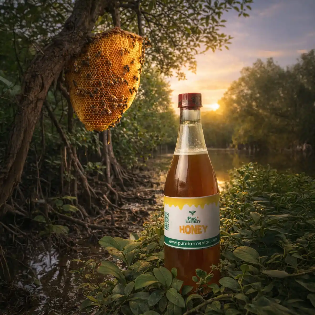 সুন্দরবনের প্রাকৃতিক মধু | Sundarban Honey